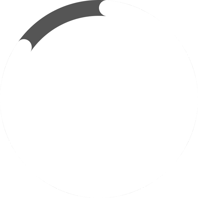 86% protezione bambini Euro NCAP 尊龙时凯